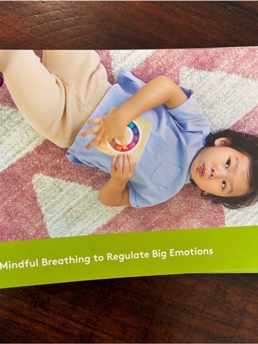 Lovevery Calming Circle and Calming Guide Book - NEW! - Picture 3 of 4